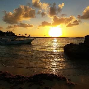 Meet your Posher, Sherry